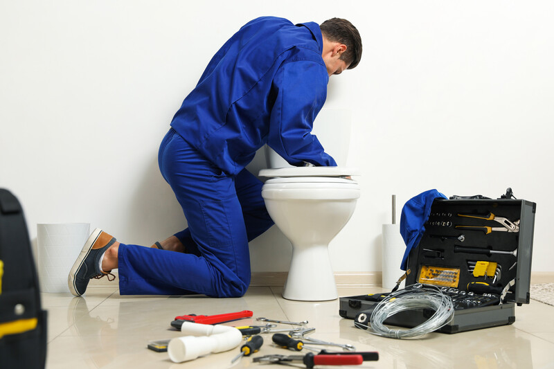 Toilet Repair 2